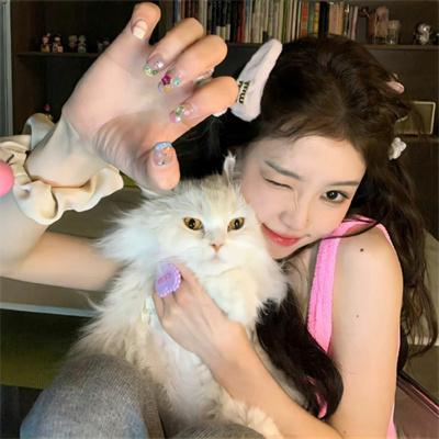 变身侠阿奔第二季